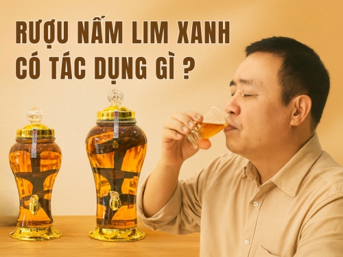 Uống thử mới biết: Tác dụng nấm Lim Xanh ngâm rượu khiến nhiều người bất ngờ